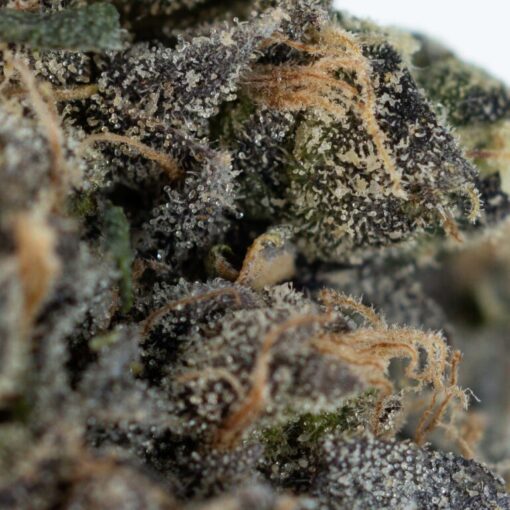 APPLE KUSH Weed