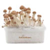 Amazon XP Growkit kaufen