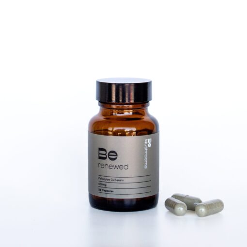 Be Renewed Macrodose Psilocybin Capsules (25 Capsules) Online