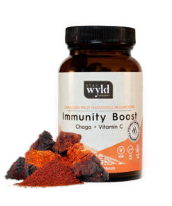Chaga Kapseln kaufen – Immunboost mit Stay Wyld Organics