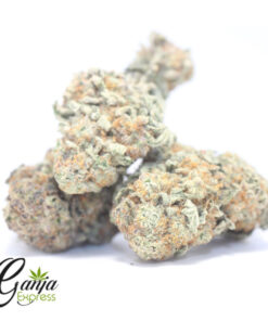Oz – Ice Weed