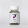 Neuro Botanicals Focus – Mikrodosierung Pilz Kapseln für Fokus