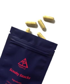 Scooby Snacks Kapseln kaufen – Psilocybin für Party & Fokus