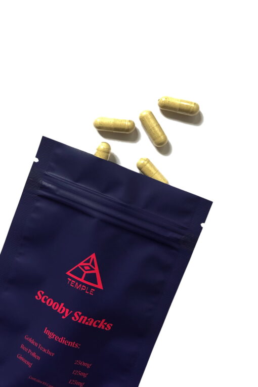 Scooby Snacks Kapseln kaufen – Psilocybin für Party & Fokus