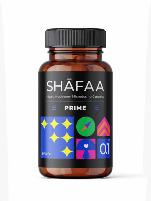 Shafaa Evolve Prime Magic Mushroom Mikrodosierung Kapseln kaufen