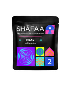 Shafaa Macrodosierung Magic Mushroom Kapseln