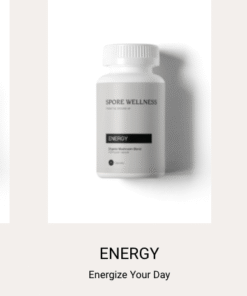 Spore Wellness Mikrodosierung Pilz Kapseln – Micro Bundle kaufen
