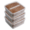 Three XL Magic Mushroom Grow Kits kaufen | XL Growkit Sparpaket von Mondo®