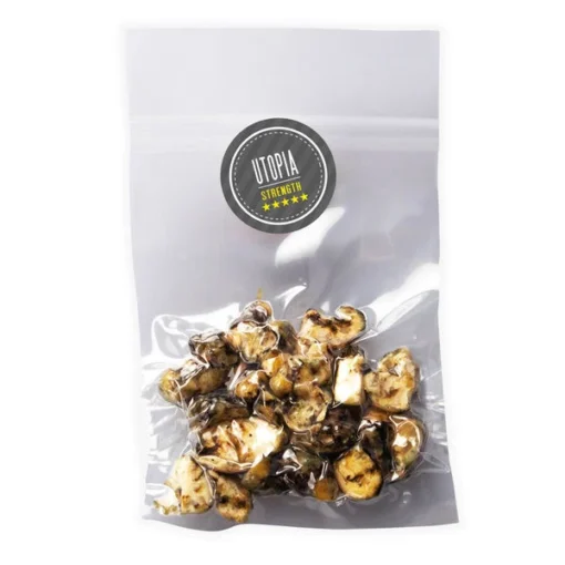 Utopia Magic Truffles Kaufen – Psilocybin Trüffel