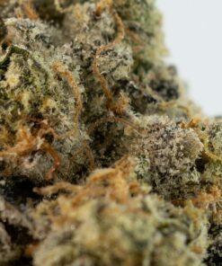ANIMAL FACE Weed