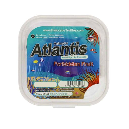 Atlantis Magic Truffles kaufen – Psilocybin Trüffel Atlantis bestellen