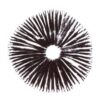 McKennaii Psilocybe Cubensis Sporenabdruck kaufen