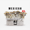 Mexican XL Growkit kaufen | Mondo® Magic Mushroom Grow Kit bestellen